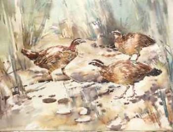 "Crested Francolin"