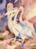 "Mod Pelicans"