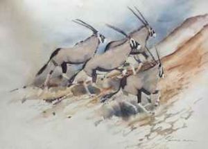 "Running Gemsbok x 3"