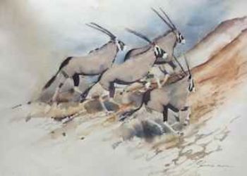 "Running Gemsbok x 3"