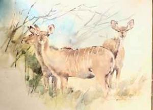 "Kudu Does x 3"