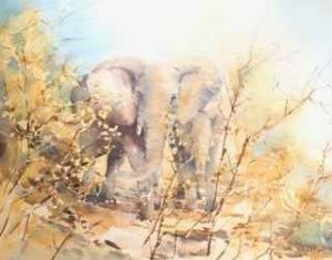 "Winter Elephants"