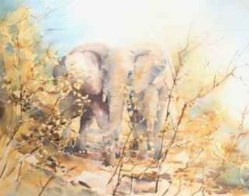 "Winter Elephants"