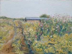 "Cosmos on Farm"
