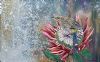 "Protea Morning"