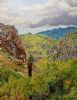 "Easten Cape Aloes 5"