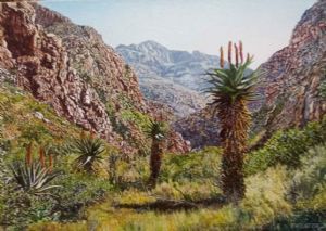 "Eastern Cape Aloes 1"