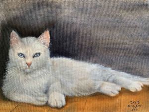 "Blue Eyed Boy"