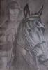 "Horse head portrait"