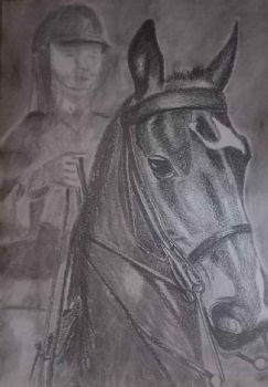 "Horse Head Portrait"