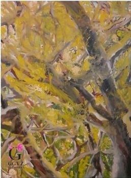 "Knysna Through the Tree Tops"