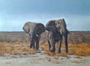 "Etosha. Heat of Day"