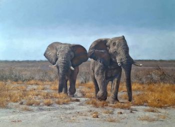 "Etosha Heat of Day"