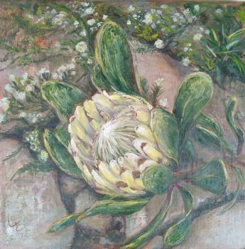 "Limestone Sugarbush Protea"