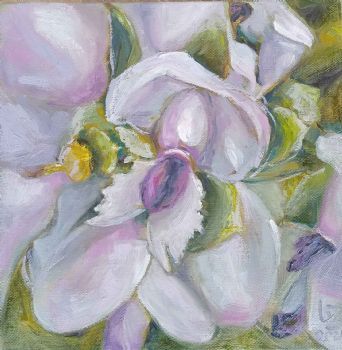 "Tortoise Berry Blossom"