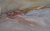 "Sandveld Landscape "