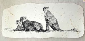 "Cheetah's Together"