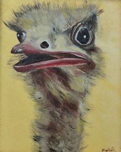 "Wide-Eyed Wonder"
