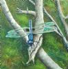 "Stillness in Blue"