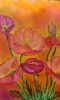 "Sunlit Petals"