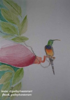 "Sunbirds FeedingI"