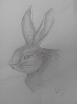 "Little Rabbit"