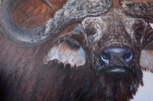"Buffalo"