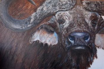 "Buffalo"