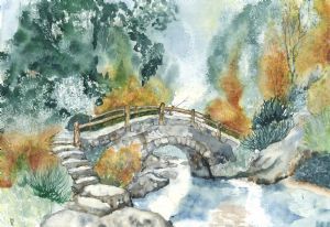 "Forest Bridge"