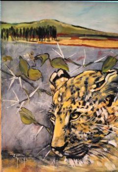 "Leopards of Karkloof"