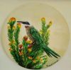 "White-Fronted Bee Eater"