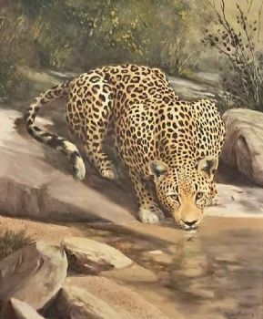 "Thirsty Leopard"