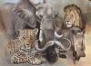"Big Five"