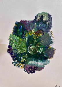 "Anemone 1/2"