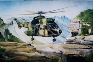 "Puma 1250 Drakensberg"