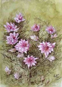 "Dainty Blushing Brides"