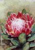 "Magnificent Red Protea"