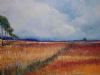 "Plains 1"