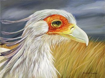 "Secretary Bird"