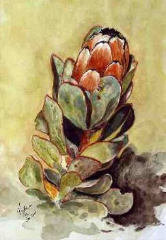 "Orange Protea"