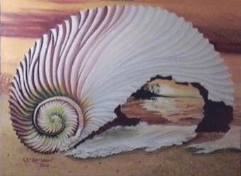 "Shell View"