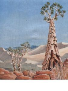 "Quiver Tree, Namibia"