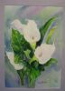 "Arum Lilies"