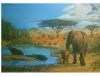 "Elephants and hippos in the African Landscape"