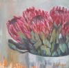 "Proteas "