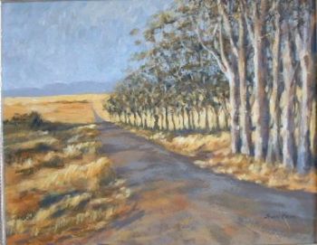 "Road less travelled - Overberg"