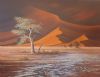 "Early Morning in Sossusvlei"