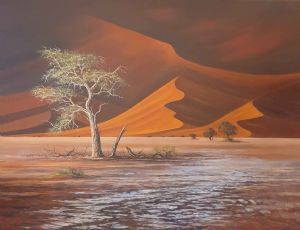 "Early Morning in Sossusvlei"