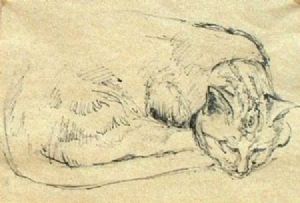 "Sleeping Cat"