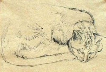 "Sleeping Cat"